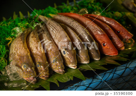 Several Ablet, Bream Fish on Fishing Net. Fishing Rod with Float