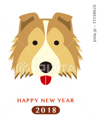 年賀状 戌年 シェットランドシープドッグ 犬の写真素材