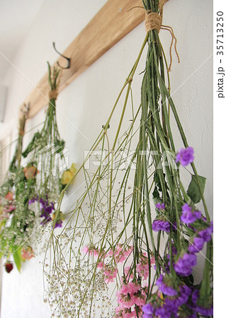 花 かすみ草 ラベンダー 紫色の写真素材