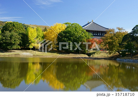 大仏池の写真素材 - PIXTA