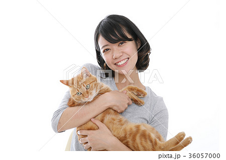 愛猫の写真素材
