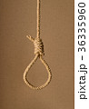 首吊り自殺 結び目 ロープ 縄 首吊りの写真素材