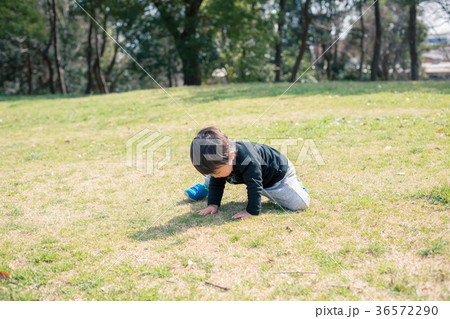 子供 男の子 立ち上がる 這いつくばるの写真素材