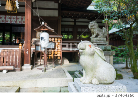 うさぎ神社 石像の写真素材 - PIXTA