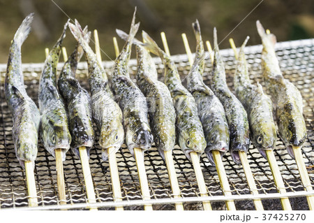 やまめの塩焼き 焼き魚 山女 ヤマメの写真素材