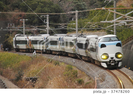 287系 特急くろしお 特急列車 くろしおの写真素材 - PIXTA