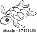 モノクロ 白黒 かめ カメのイラスト素材