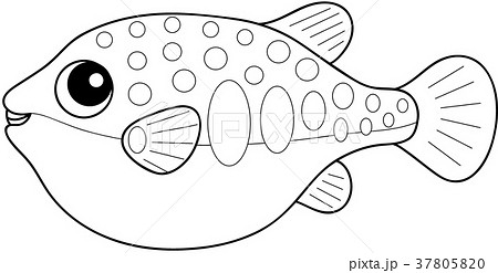 線画 ぬりえ 塗り絵 魚介類のイラスト素材