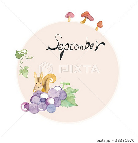 ブドウ 葡萄 ぶどう リスのイラスト素材 - PIXTA