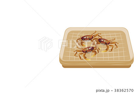 サワガニの食事の写真素材 - PIXTA