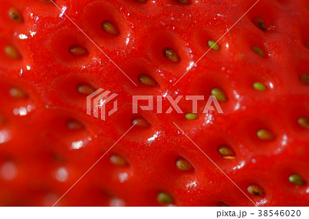 いちご 種 ズーム たねの写真素材 - PIXTA