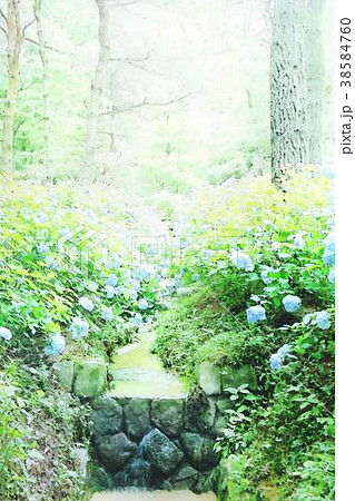 神戸市立森林植物園のイラスト素材