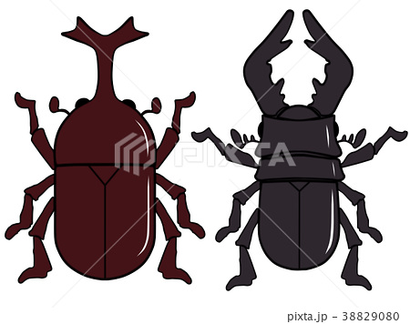 クワガタ クワガタムシ 甲虫 昆虫のイラスト素材