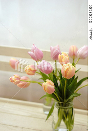 チューリップ 生け花の写真素材