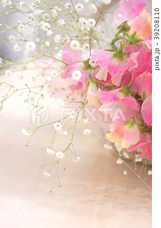 かすみ草 スイートピー 花 生花の写真素材