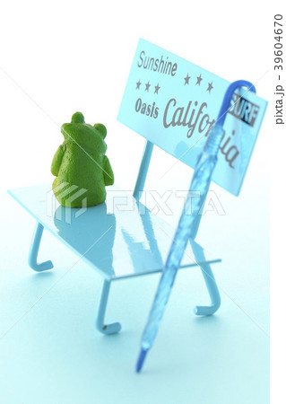 ベンチに座る後ろ姿の写真素材