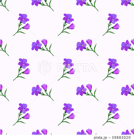 パープル 紫 紫色 フリージアのイラスト素材