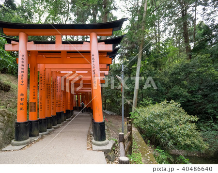 社寺 神社仏閣 和風 イラストの写真素材