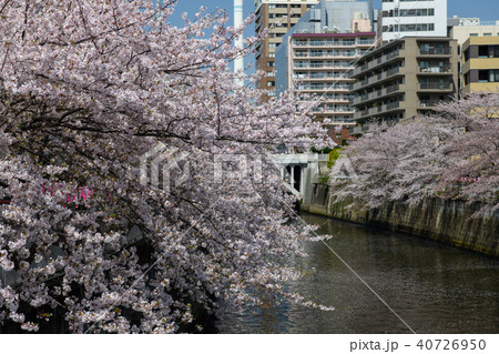 太鼓橋から目黒新橋の写真素材