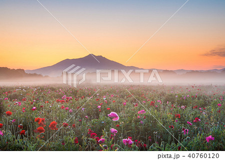 筑波山の写真素材