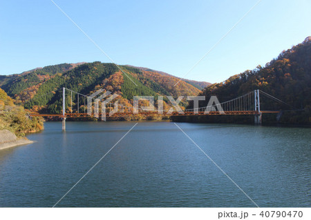 九頭竜湖 紅葉 秋 夢の架け橋の写真素材 九頭竜湖 紅葉 秋 夢の架け橋の写真素材