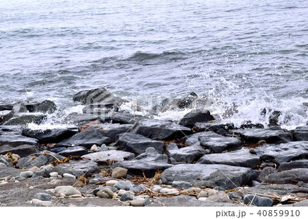 海の藻屑の写真素材