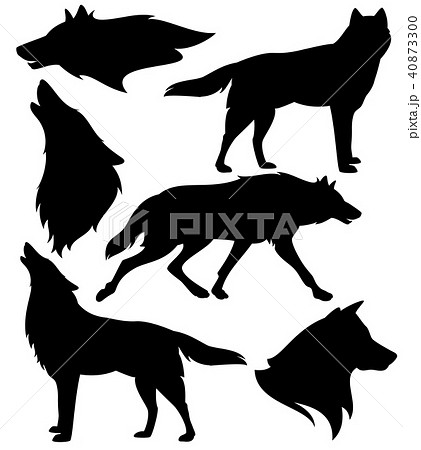 狼 横顔 イラストレーションのイラスト素材