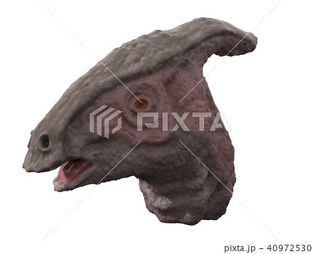 ランベオサウルス類のイラスト素材
