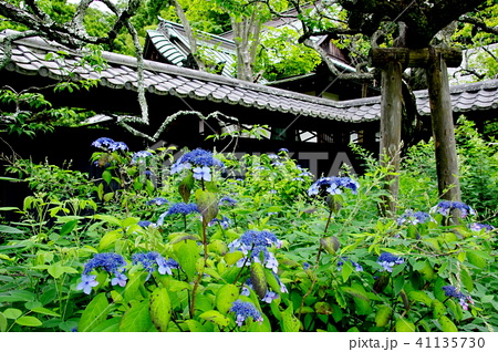 東慶寺照片素材