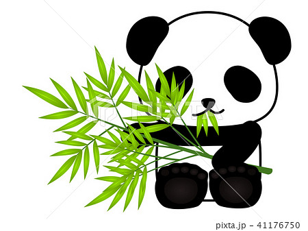パンダ ジャイアントパンダ 笹の葉 食べるのイラスト素材