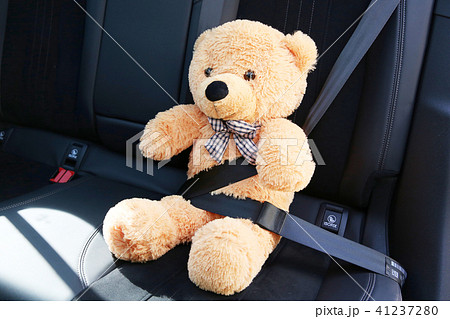 ベルト 車 自動車 クマのぬいぐるみの写真素材