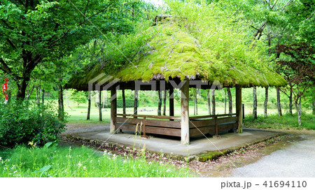 草屋根 屋根 建物 植物の写真素材