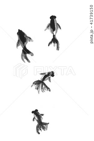 Japan Image 金魚 イラスト 白黒