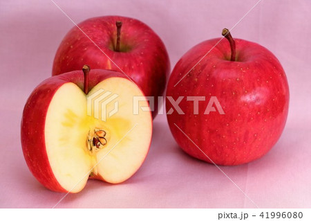 東北 リンゴ 綺麗 果樹園の写真素材