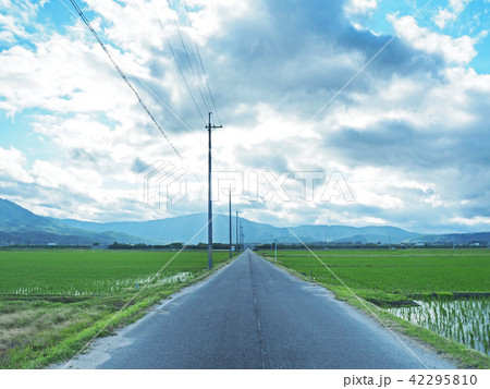 黄色 茶色 田舎 道路の写真素材