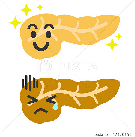 膵臓のイラスト素材