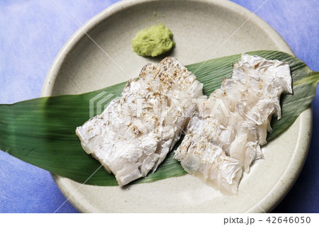 炙り 太刀魚 刺身 和食の写真素材