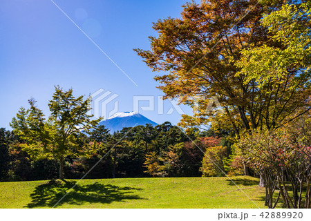 富士パインズパークの写真素材