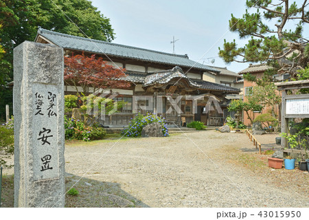新潟 村上 佛海上人 龍 紙本肉筆掛軸 即身仏 真言密教