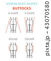 Human body shapes. Woman breast form set. Bra typeのイラスト素材 [43070582] - PIXTA