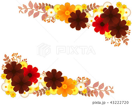 キバナコスモスのイラスト素材