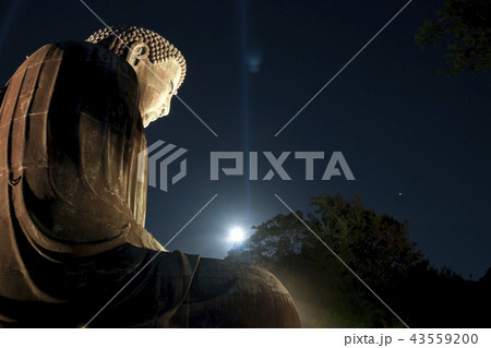 大仏 ライトアップ 鎌倉の写真素材