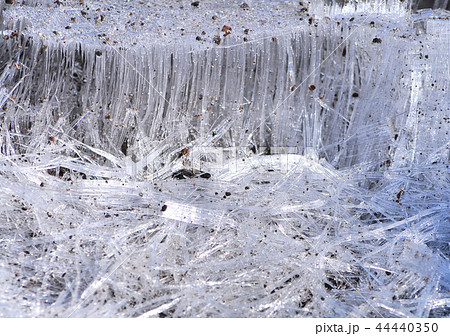 霜柱の写真素材