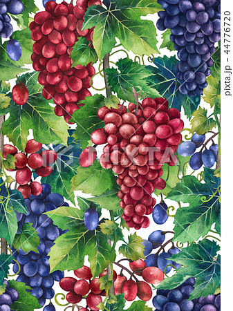果物 壁紙 パターン 葡萄のイラスト素材