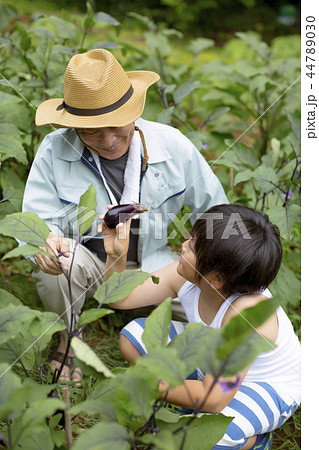 男の子 畑 農作業 おじいちゃんの写真素材