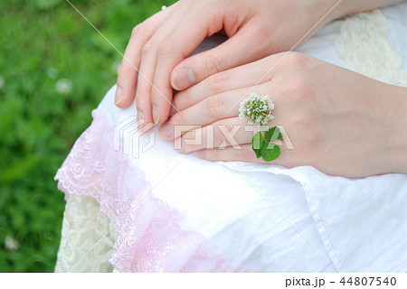 四つ葉のクローバー 花 シロツメクサ 指の写真素材