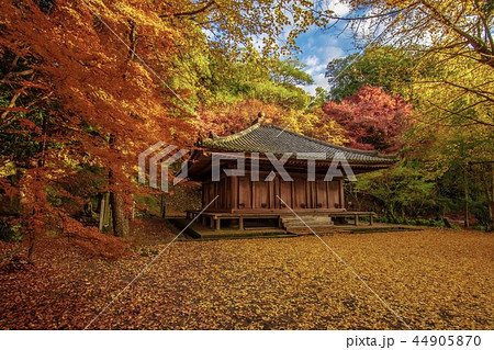 富貴寺 紅葉 寺 豊後高田市の写真素材