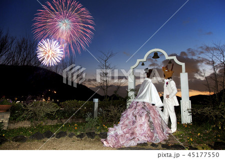 後姿 打ち上げ花火 恋人 花火の写真素材