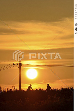 夕日 土手 夕方の写真素材