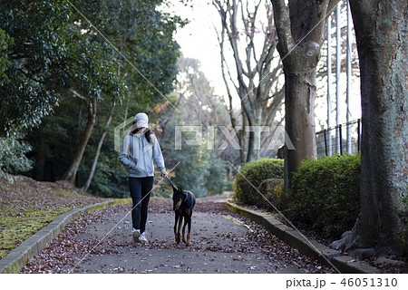 警察犬訓練士 警察の写真素材